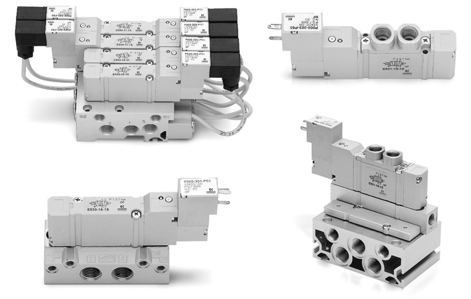 Pneumatic manifold valves